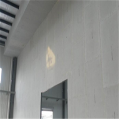 九龙坡宁波ALC板|EPS加气板隔墙与混凝土整浇联接的实验研讨